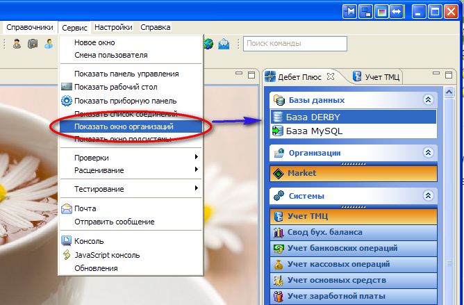 Дебет Плюс - Показать окно организаций.jpg